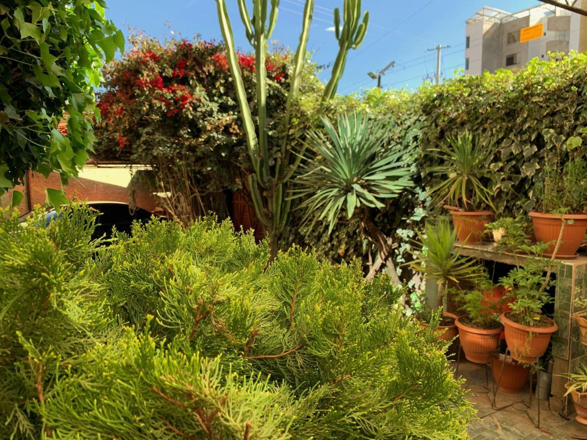 Отель The King Sun Garden Куско Экстерьер фото